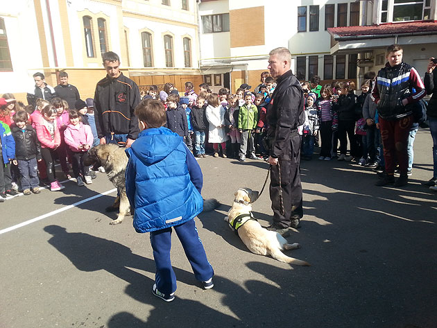 Demonstraţie de dresaj canin la Şcoala Grigore Moisil