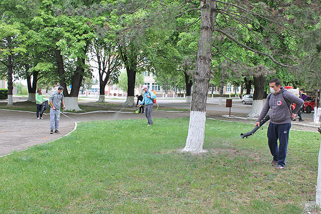 Dezinsecţie amplă la Odoreu