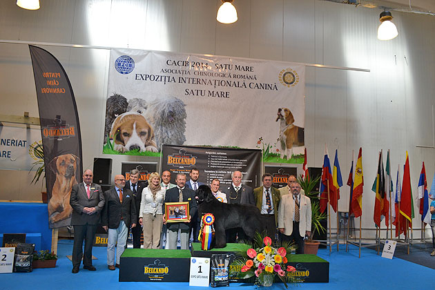 Terranova, campionul suprem la Satu Mare