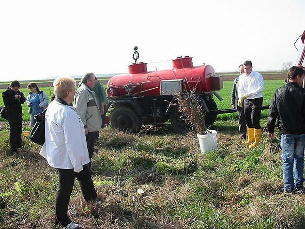 Peste 100 de puieţi plantaţi la Urziceni