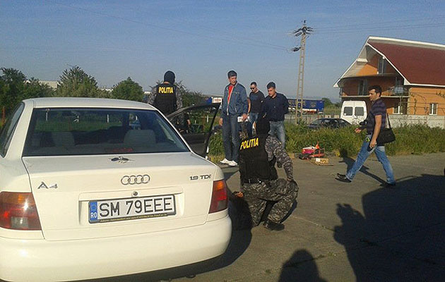 Cultură de canabis la unul dintre plasatorii de valută falsă