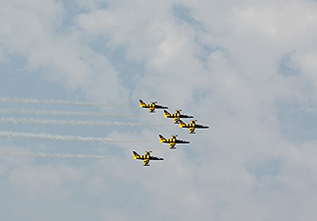 Albinuţele Baltice vor “zumzăi” din nou pe cerul Sătmarului