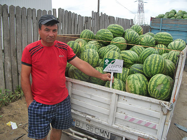 Primarul Coica declară război lebeniţarilor