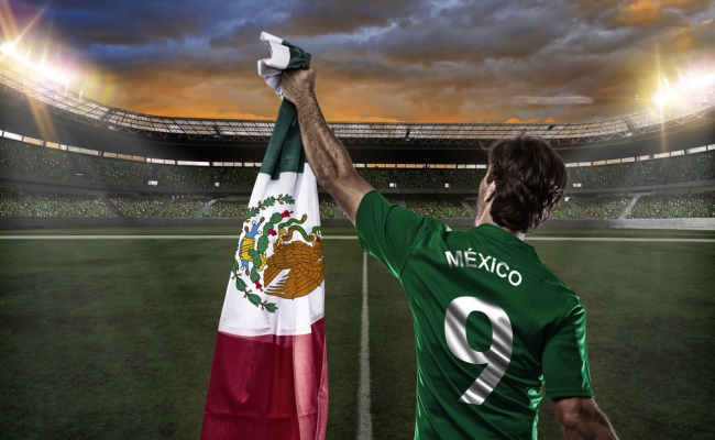 Campionatul Mondial din Brazilia: cate bilete au cumparat fanii echipelor