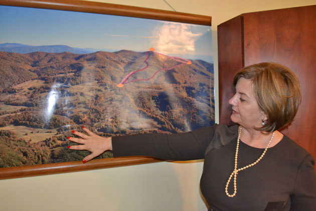 Licitaţie pentru 17 parcele de teren de la Luna Şes