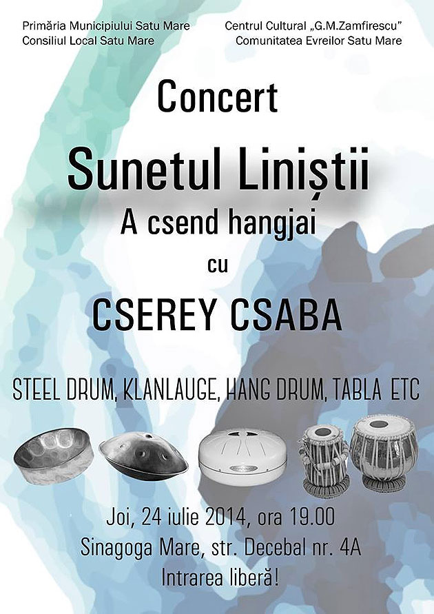 Concerte de percuţie şi pop-rock la Satu Mare