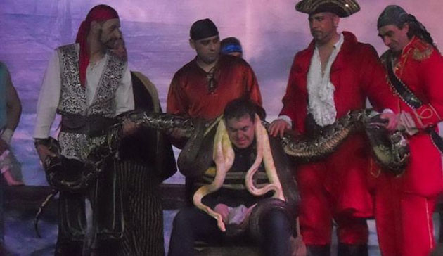 O fată de 12 ani, muşcată de un piton  la Circul Belluci