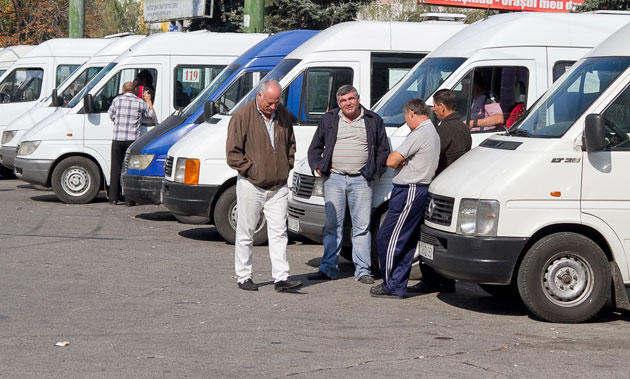 Navetiştii judeţului Satu Mare