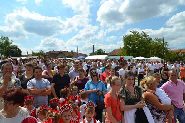 Trupe şi artişti de marcă la Zilele Tăşnadului şi Ardudului