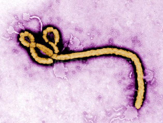 Epidemia de Ebola trebuie considerată o urgenţă de sănătate publică la nivel mondial