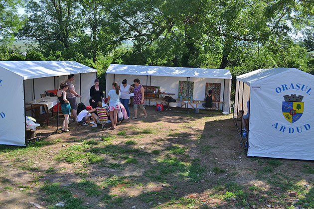 Artişti din 12 ţări în tabăra de creaţie de la Ardud