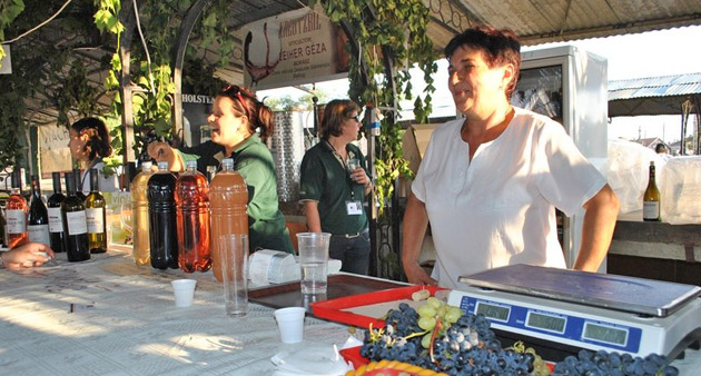 Viticultorii sătmăreni îşi dau  întâlnire la Beltiug