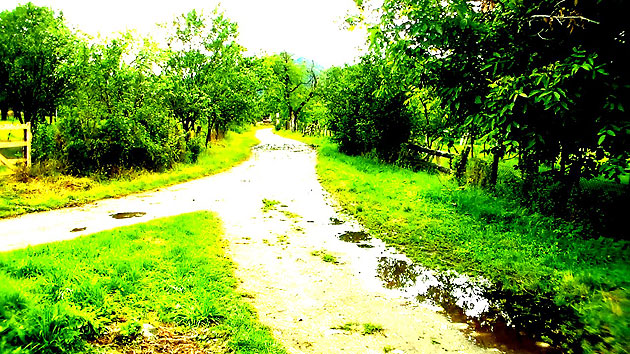 La Ulpia Traiana Sarmizegetusa (IV)