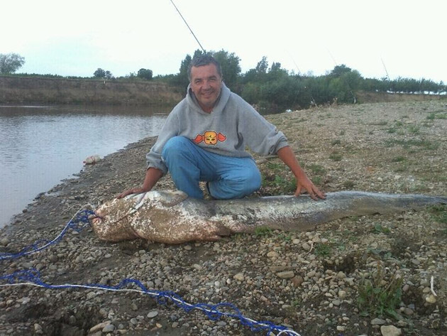 Monştrii din Someş