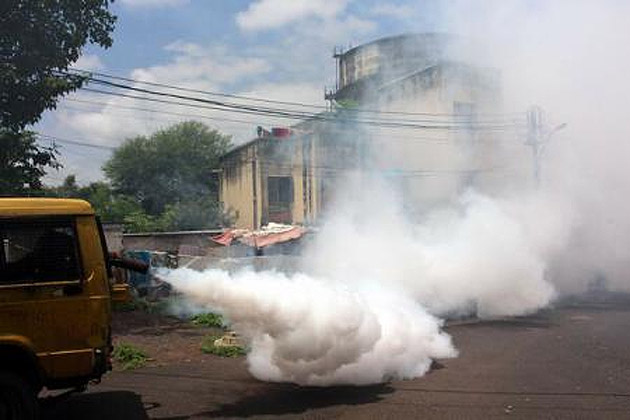 O companie farmaceutică niponă prevede comercializarea unui vaccin împotriva febrei dengue din 2017