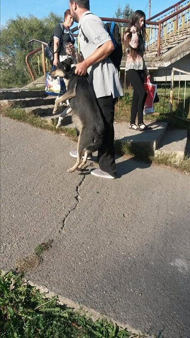 Filmat încercând să-şi arunce  câinele în Someş