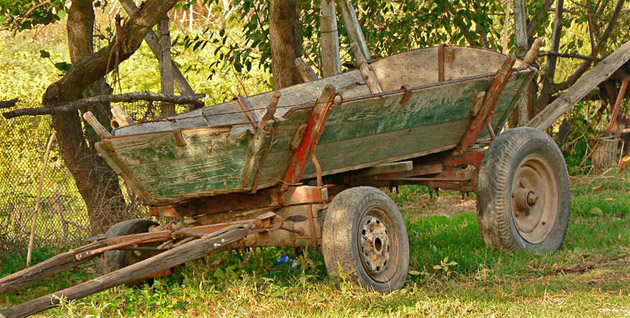 Trei femei rănite grav, după ce s-au răsturnat cu căruţa în şanţ