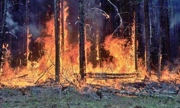 Distrugeri produse de incendii la Crucişor şi Berea