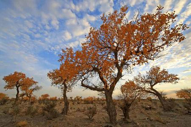 ONU: Protejarea naturii, vitală pentru hrana și apa necesare omenirii