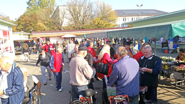 Social-democraţii, primiţi cu simpatie în piaţa din Carei