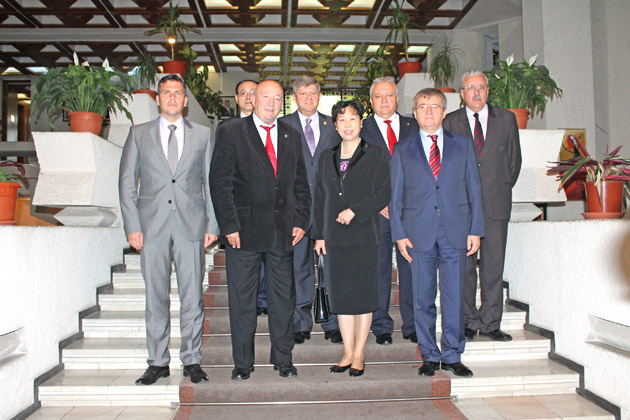 China, invitată să investească în judeţul Satu Mare