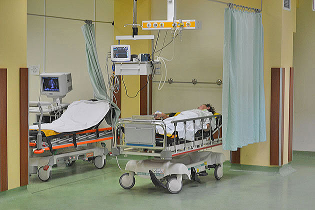 Ciupercile au făcut prima victimă în judeţ