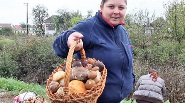 Fenomenul intoxicaţiilor cu ciuperci, fără leac