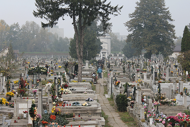 Morminte împodobite cu flori de Luminaţii