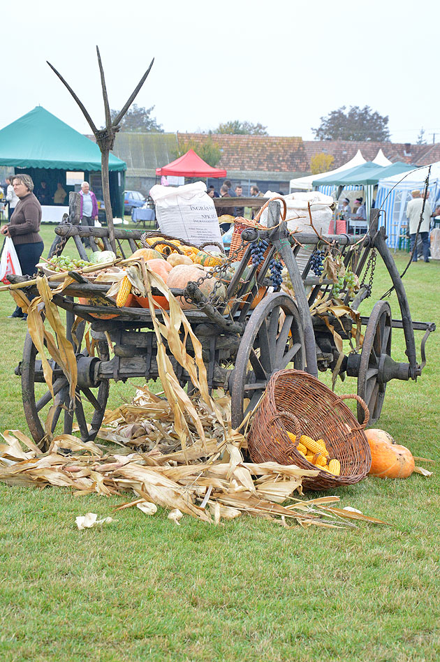 Festivalul Toamnei de la Moftin, la a V-a ediţie