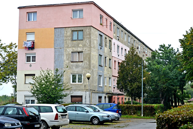 Cultură de canabis pe acoperişul blocului