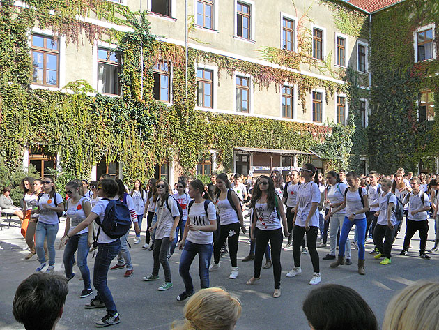 Ziua ZEN, marcată la Colegiul Naţional “Doamna Stanca”