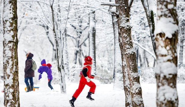 Cum va fi vremea în această iarnă. PROGNOZA METEO până în luna februarie. HARTA meteorologilor