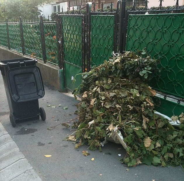 Acţiunea “ Curăţenie de toamnă” se prelungeşte