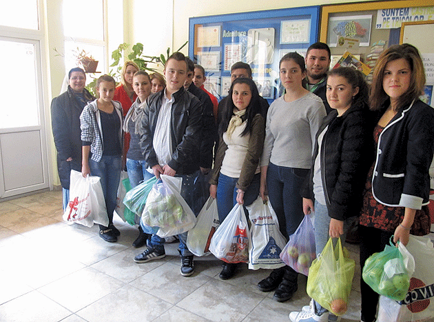 Activitate de voluntariat la Liceul „George Emil Palade”