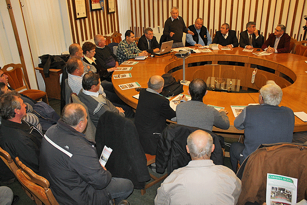 Porcul din rasa Mangaliţa reînvie la Satu Mare