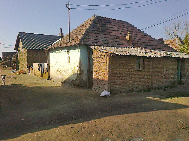 Zoltan Fogarași, bestie cu chip de om