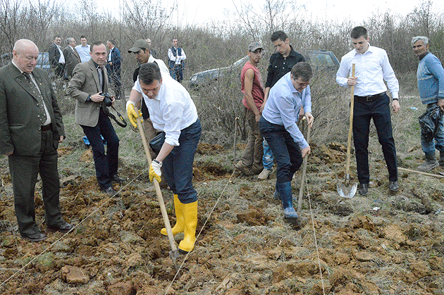 Reîncep împăduririle în judeţ