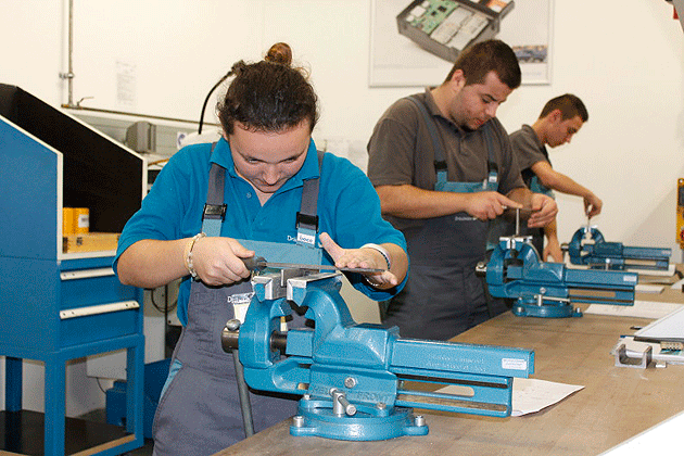 Firmele sătmărene pot solicita elevi  în practică