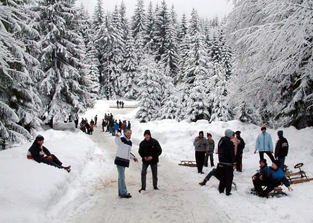 Ofertă bogată pentru petrecerea sărbătorilor de iarnă
