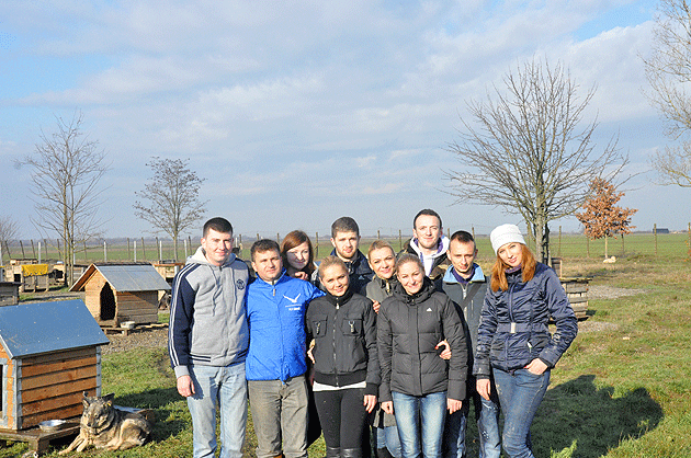 Cadouri pentru câinii fără stăpân