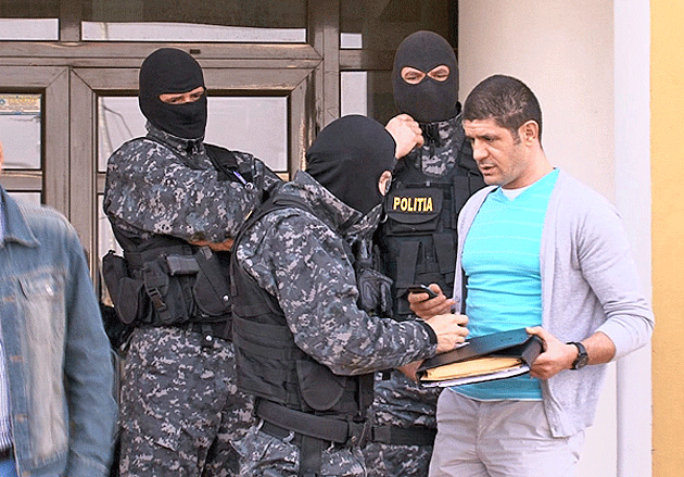 “Mascaţii” au dat iama în mafia lemnului