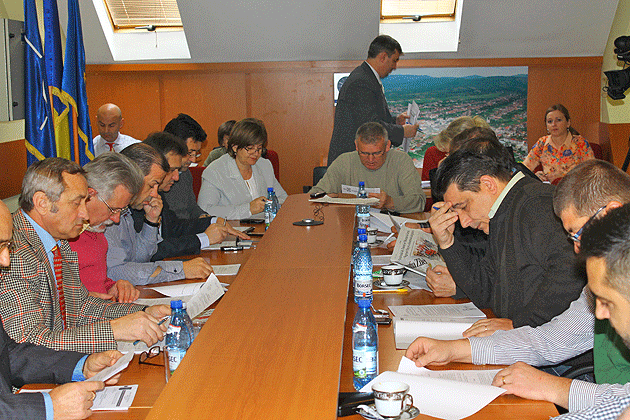 Facilităţi fiscale pentru investitori  la Negreşti-Oaş