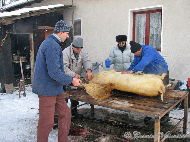 Numărul cazurilor de trichineloză s-a înjumătăţit an de an