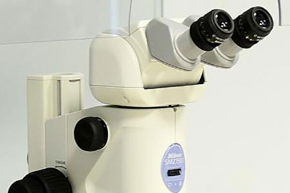 Oamenii de știință au creat un "firewall genetic" pentru izolarea biologică a organismelor modificate genetic