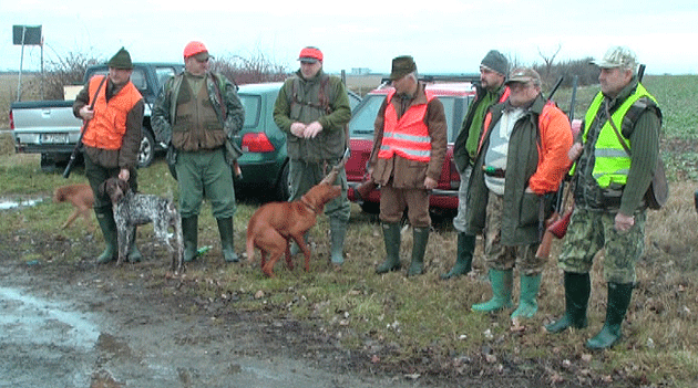 Ultimele partide la iepuri şi fazani