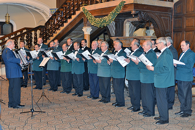 Concert de Anul Nou la castelul din Carei