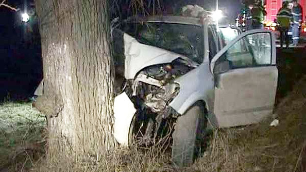 S-a izbit cu maşina de un copac