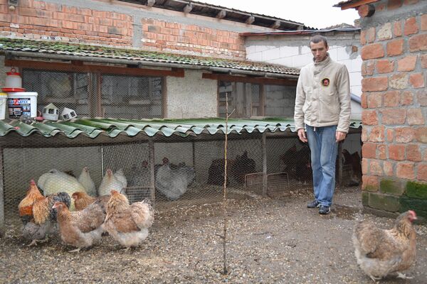 Fermă UNICAT de creştere a găinilor la Odoreu