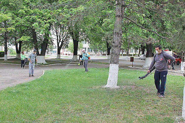 Deratizare generală la Odoreu