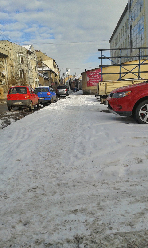 Sătmăreni pasivi în faţa zăpezii